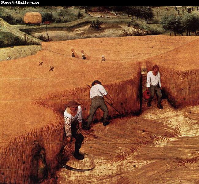 Pieter Bruegel the Elder The Corn Harvest